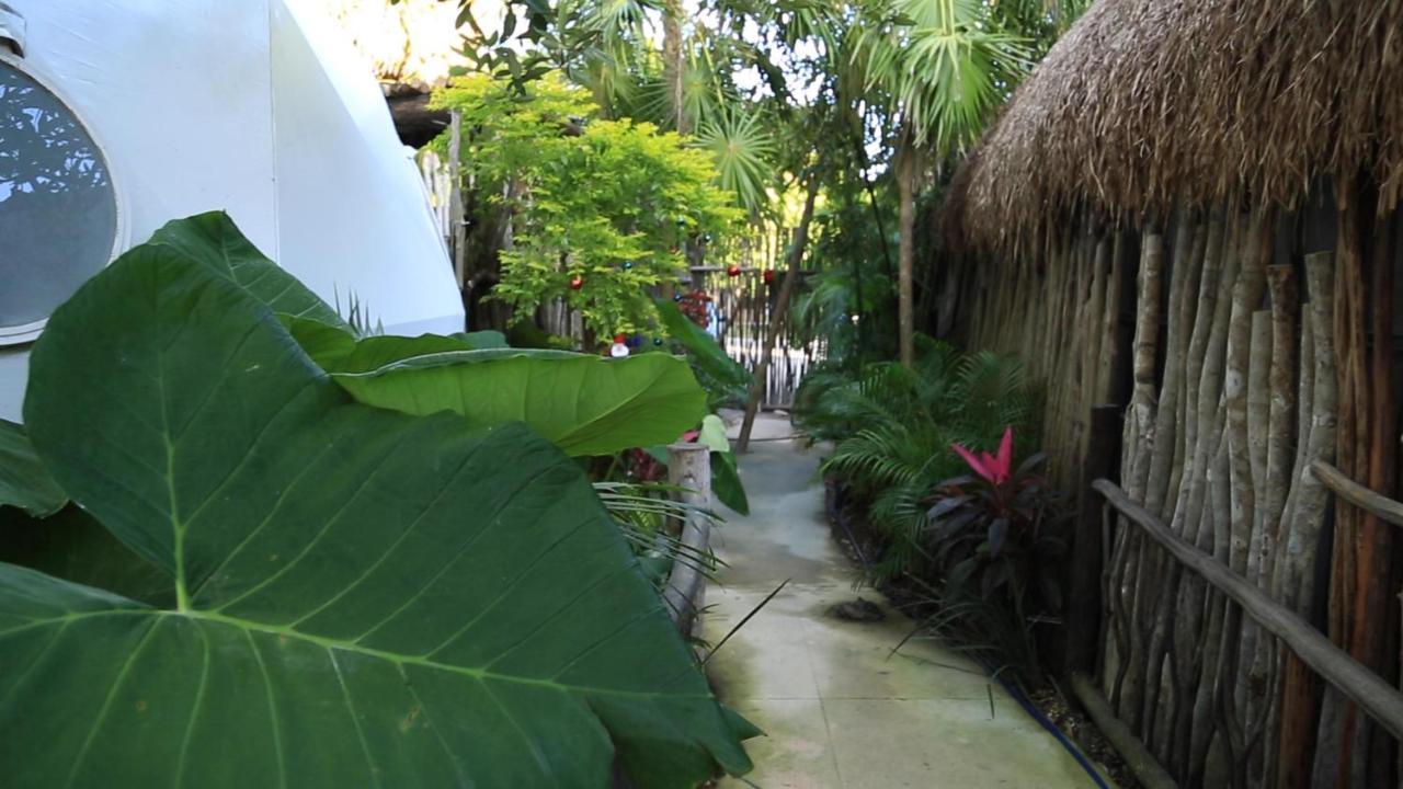 Glamping Tulum With Private Mini Pool Hotell Exteriör bild